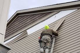 Best Vinyl Siding Installation  in Campbellsburg, KY